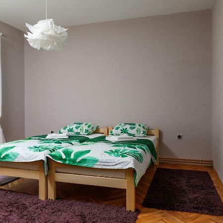 Apartment Mihajlovic فرانيي المظهر الخارجي الصورة